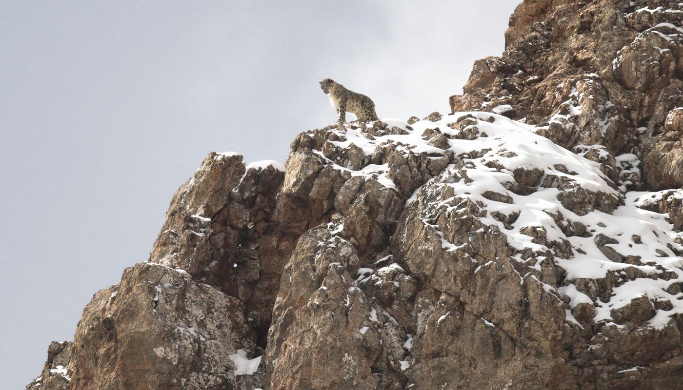 Dossier p?�dagogique 