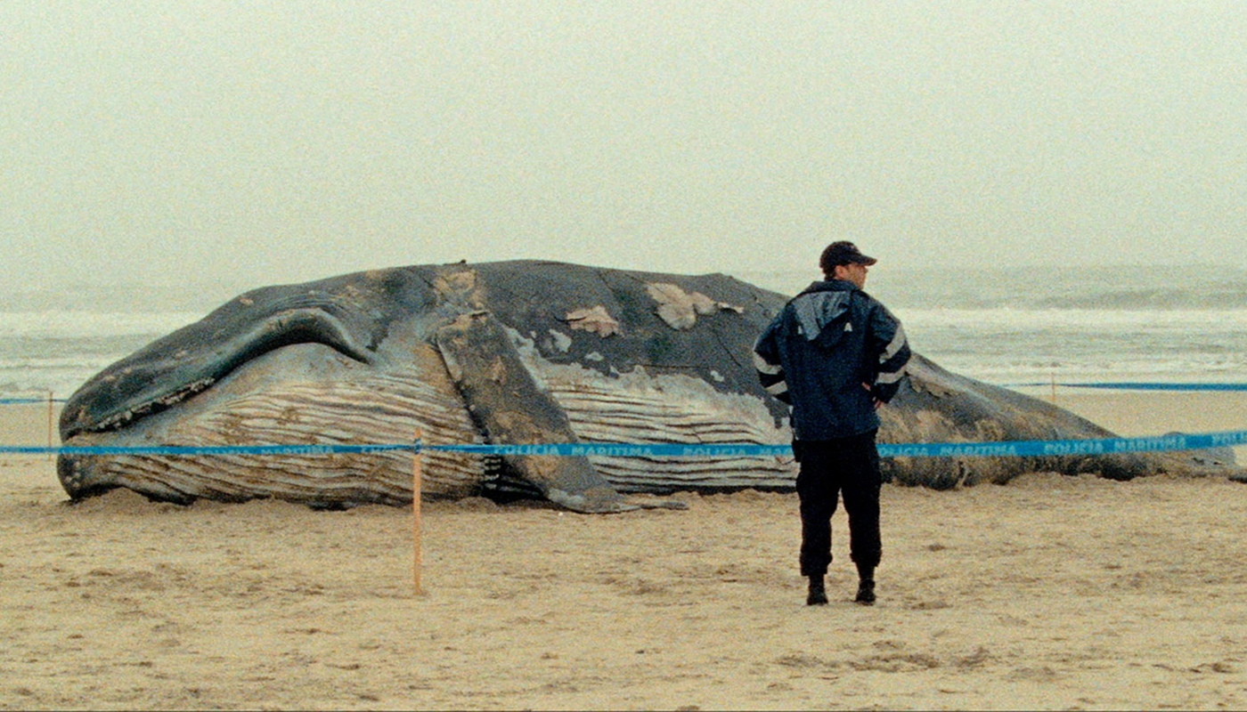 Les Mille Et Une Nuits Film 1990 Streaming Les Mille et une nuits, volume 1 : conte de l’intranquillité | Zéro de